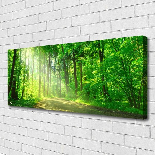 Obraz Canvas Les cestička stromy príroda 125x50 cm