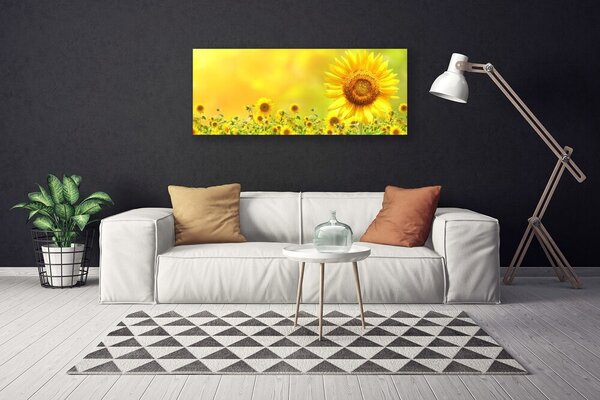 Obraz Canvas Slnečnica kvet rastlina 125x50 cm