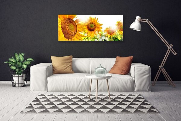 Obraz Canvas Slnečnica kvet rastlina 125x50 cm