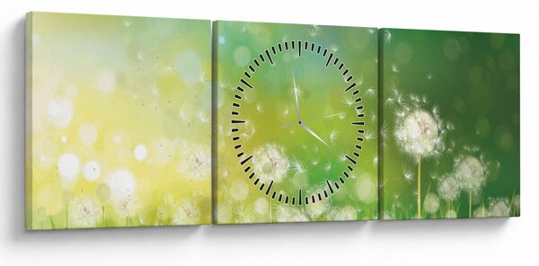 Obraz - Odkvitnuté púpavy (s hodinami) (90x30 cm)