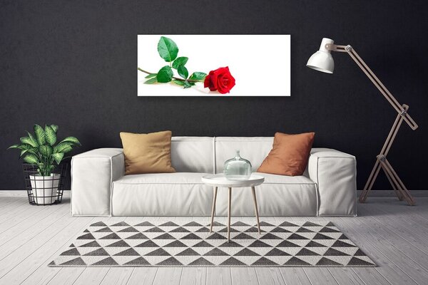 Obraz Canvas Ruže kvet rastlina 125x50 cm