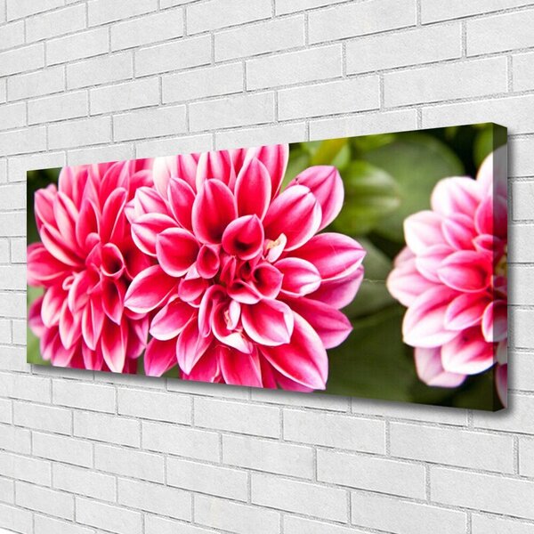 Obraz Canvas Kvety rastlina príroda 125x50 cm