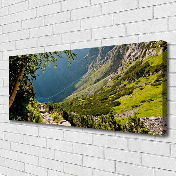 Obraz Canvas Hora les príroda 125x50 cm