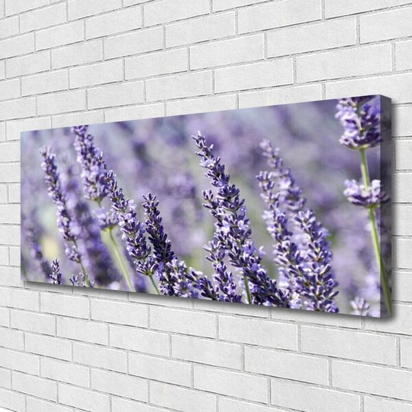 Obraz Canvas Kvety rastlina príroda 125x50 cm