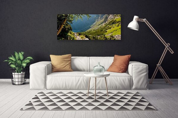 Obraz Canvas Hora les príroda 125x50 cm