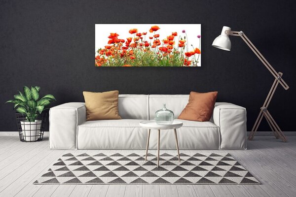 Obraz Canvas Maky rastlina príroda 125x50 cm