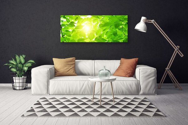 Obraz Canvas Listy príroda slnko rastlina 125x50 cm