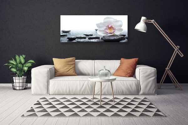 Obraz Canvas Kvet kamene umenie 125x50 cm