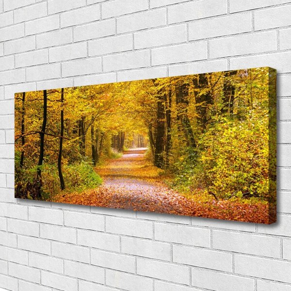 Obraz Canvas Les rastlina cestička príroda 125x50 cm