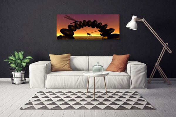 Obraz Canvas Vážky kamene umenie 125x50 cm