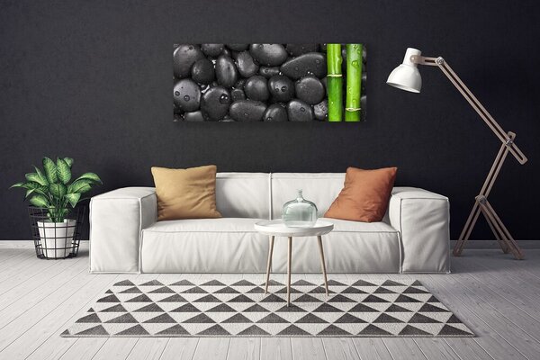 Obraz Canvas Bambus stonka kamene 125x50 cm