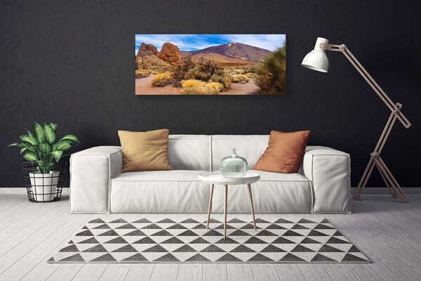 Obraz Canvas Hory rastliny skaly krajina 125x50 cm