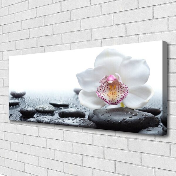 Obraz Canvas Kvet kamene umenie 125x50 cm