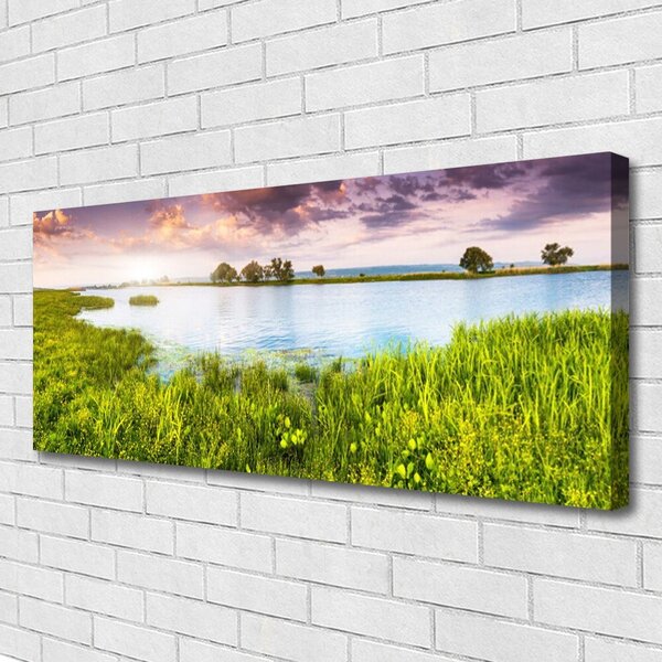 Obraz Canvas Tráva jazero príroda 125x50 cm