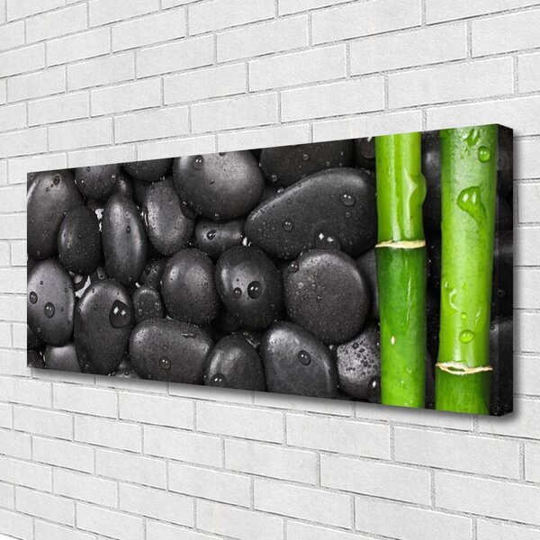 Obraz Canvas Bambus stonka kamene 125x50 cm