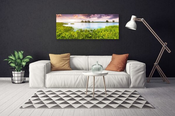Obraz Canvas Tráva jazero príroda 125x50 cm
