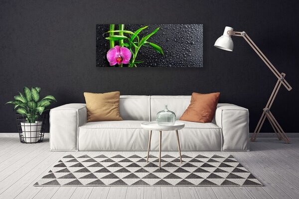 Obraz Canvas Bambus kvet kvapky 125x50 cm