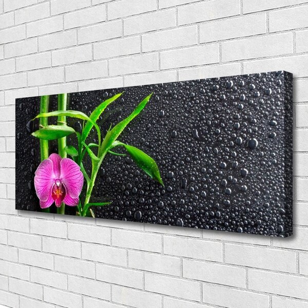 Obraz Canvas Bambus kvet kvapky 125x50 cm