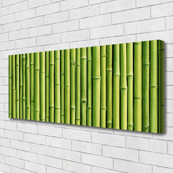 Obraz Canvas Bambus rastlina príroda 125x50 cm