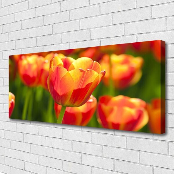 Obraz Canvas Tulipány kvety rastlina 125x50 cm