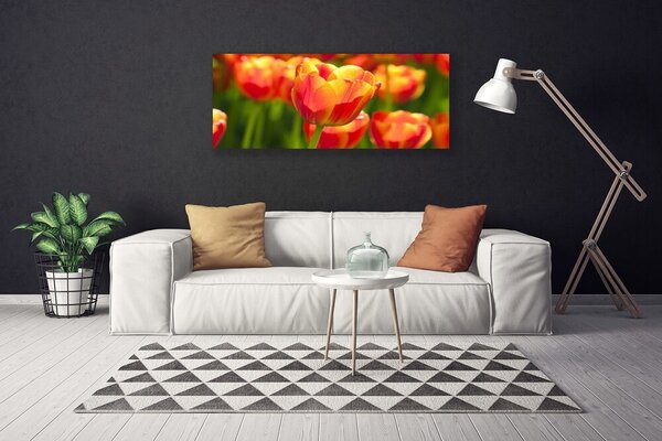 Obraz Canvas Tulipány kvety rastlina 125x50 cm