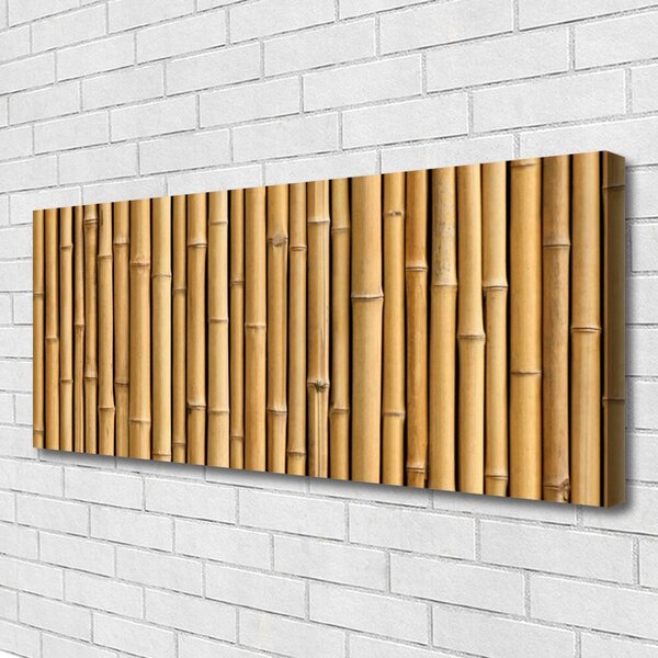 Obraz Canvas Bambus rastlina príroda 125x50 cm