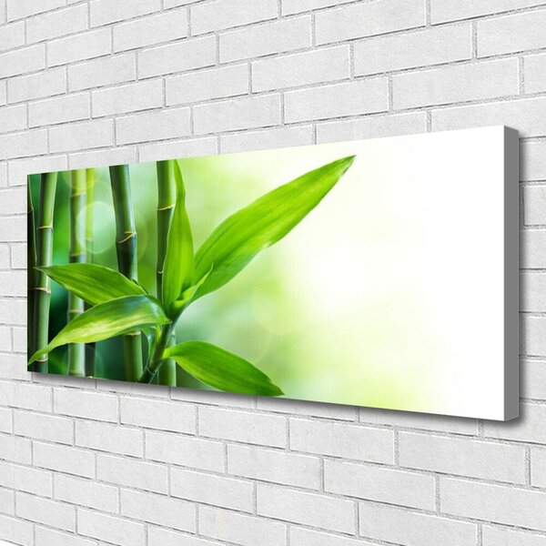 Obraz Canvas Bambus list rastlina príroda 125x50 cm