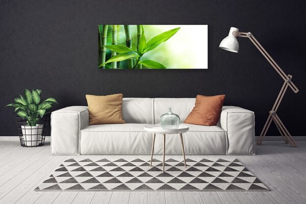 Obraz Canvas Bambus list rastlina príroda 125x50 cm