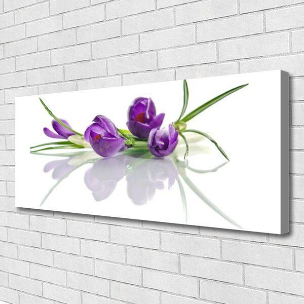Obraz Canvas Kvety rastlina príroda 125x50 cm