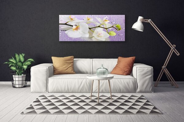 Obraz Canvas Kvety rastlina príroda 125x50 cm