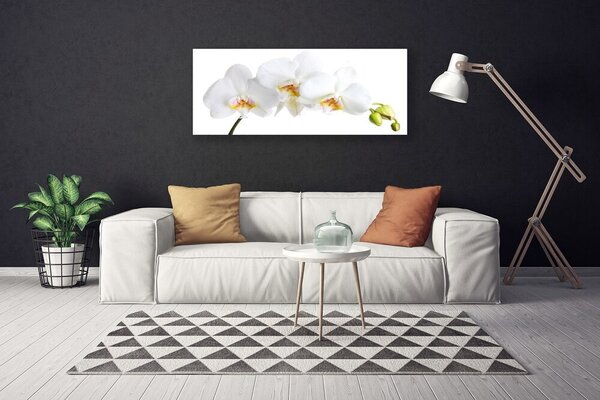 Obraz Canvas Kvety rastlina príroda 125x50 cm