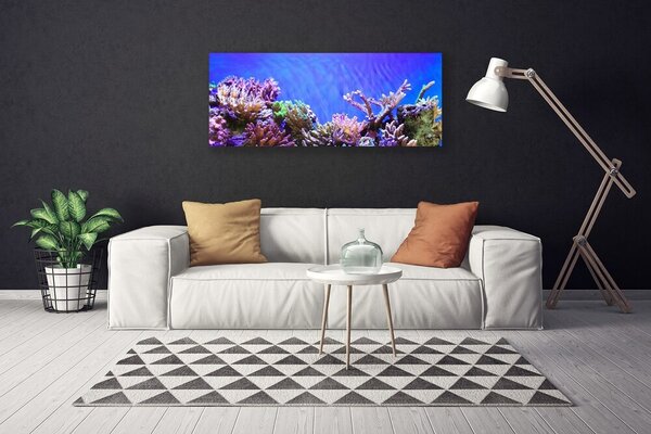 Obraz Canvas Koralový útes príroda 125x50 cm