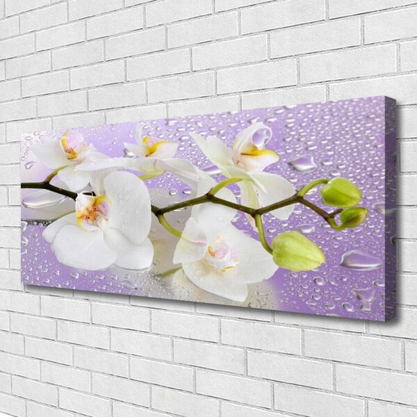 Obraz Canvas Kvety rastlina príroda 125x50 cm