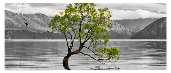 Obraz stromu uprostred jazera (120x50 cm)