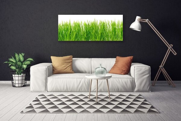 Obraz Canvas Tráva rastlina príroda 125x50 cm