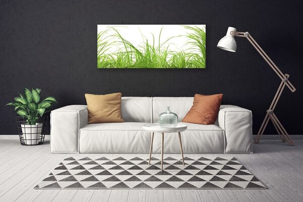 Obraz Canvas Tráva rastlina príroda 125x50 cm