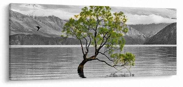 Obraz stromu uprostred jazera (120x50 cm)