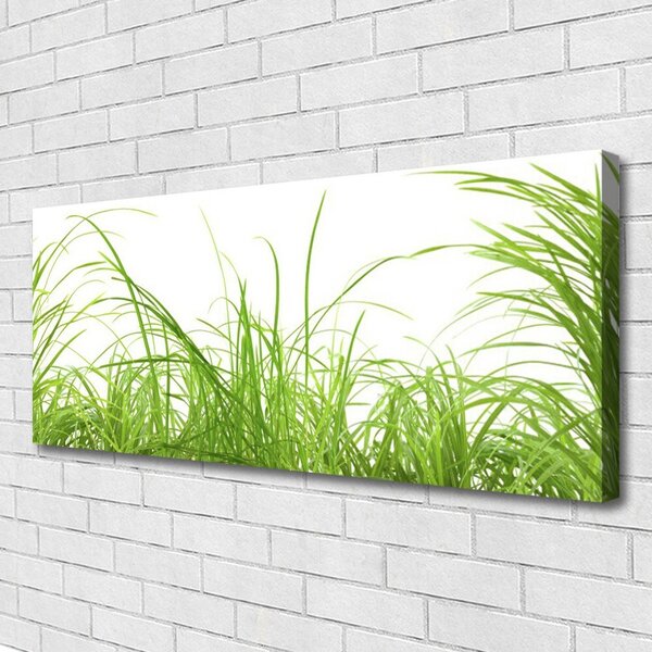 Obraz Canvas Tráva rastlina príroda 125x50 cm