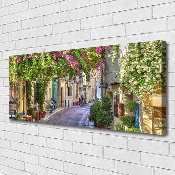 Obraz Canvas Aleje kvety domy rastlina 125x50 cm