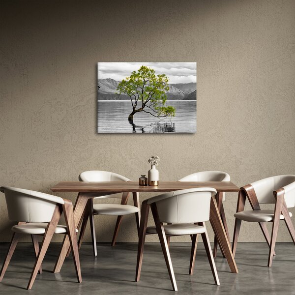 Obraz stromu uprostred jazera (70x50 cm)