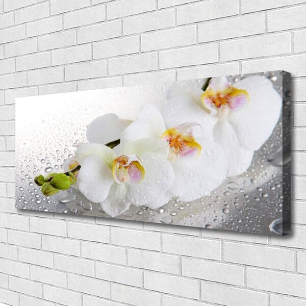 Obraz Canvas Kvety rastlina príroda 125x50 cm