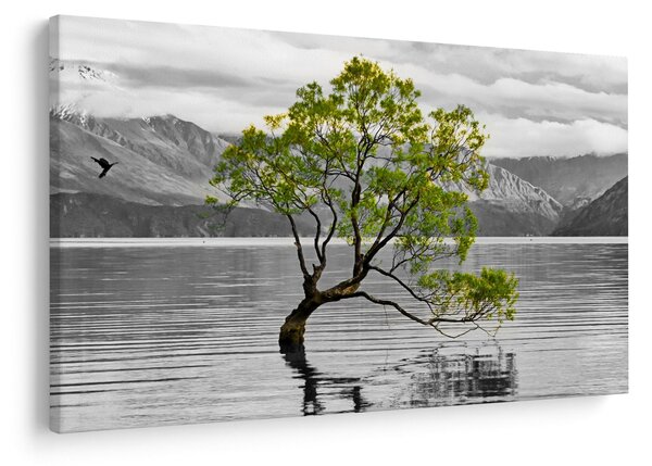 Obraz stromu uprostred jazera (90x60 cm)