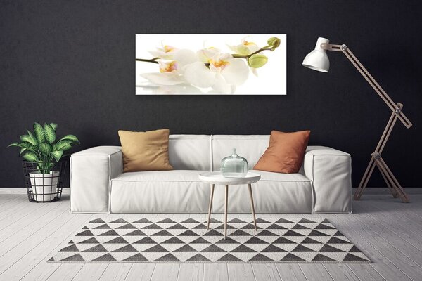 Obraz Canvas Kvety rastlina príroda 125x50 cm
