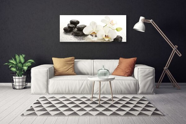 Obraz Canvas Kvet kamene rastlina 125x50 cm