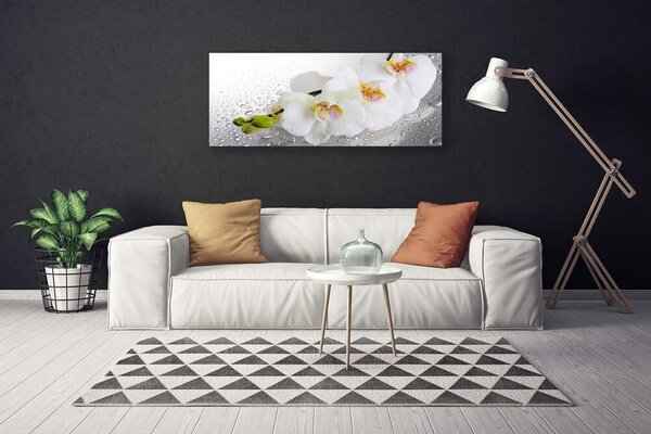 Obraz Canvas Kvety rastlina príroda 125x50 cm