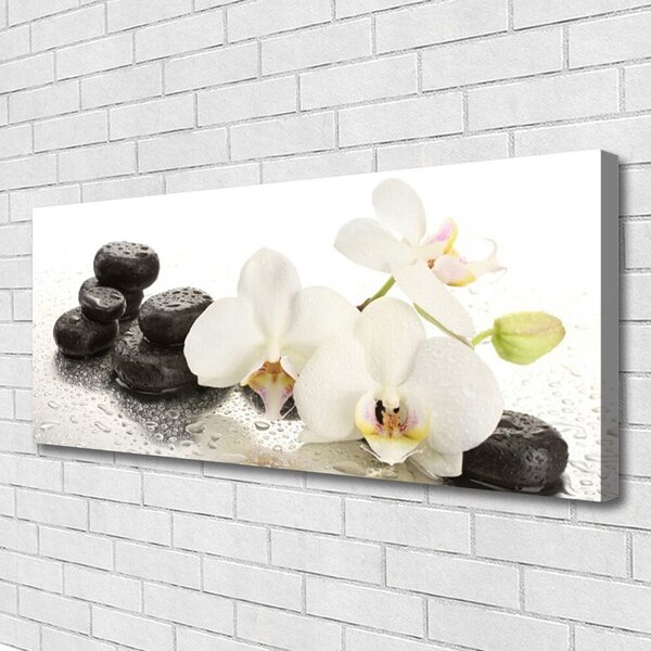 Obraz Canvas Kvet kamene rastlina 125x50 cm