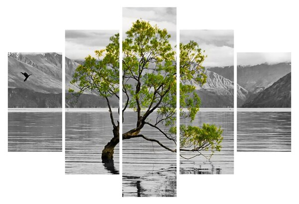 Obraz stromu uprostred jazera (150x105 cm)