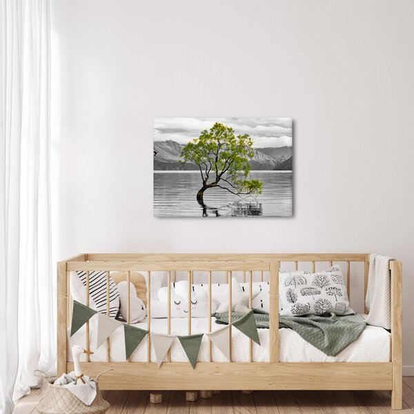 Obraz stromu uprostred jazera (70x50 cm)