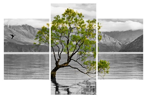 Obraz stromu uprostred jazera (90x60 cm)