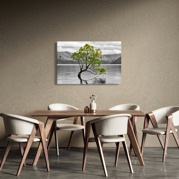 Obraz stromu uprostred jazera (90x60 cm)